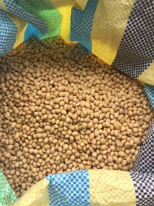 Graines de Soja Biologiques Premium Non-OGM Marque TZ879DTH Humidité Stable pour le Commerce d'Exportation Origine Brésil 10kg Durée de Conservation 2 Ans - Product Image 3