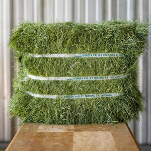 Forraje de Alfalfa para Ganado Lechero y Caballos, Ofrece Valor Nutricional Natural con Calidad Consistente, Grado Premium, 12 Meses de Vida Útil - Product Image 6