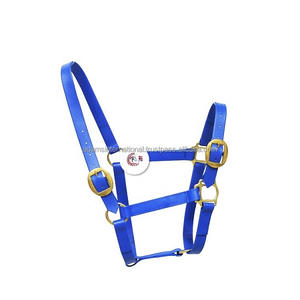 Licou de cheval en PVC de qualité supérieure avec couleur noire, équipement pour cheval, fabricant de grossiste International - Product Image 2