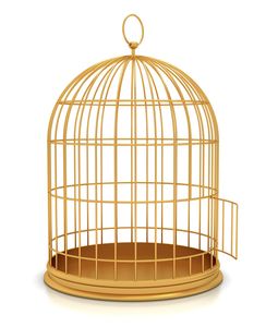 Cage à oiseaux en métal robuste pour l'élevage d'oiseaux en intérieur et en extérieur, avec finition de surface revêtue de poudre imperméable - Product Image 4