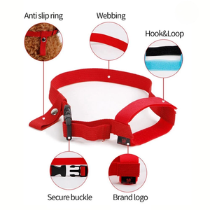 Collar de Adiestramiento para Perros Ajustable de Nailon Morado, Talla Pequeña, Cierre de Hebilla, Estilo Simple, Accesorio para Mascotas para Todas las Estaciones - Product Image 2