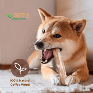 ไม้เคี้ยวสำหรับสุนัข ECO2GO VIETNAM ทำจากไม้กาแฟ สำหรับสุนัขขนาดเล็ก กลาง และใหญ่ ที่ชอบเคี้ยวเป็นประจำ - Product Image 1