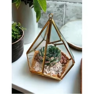 Premium <b>Frame</b> Glass Metal Terrarium Planter Elegant Indoor <b>Plant</b> Display Case Home Decor Accent - Product Image 2