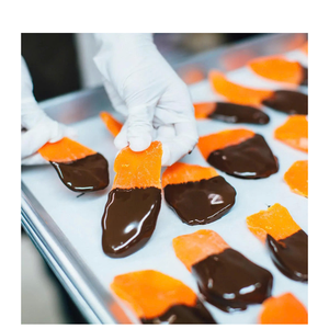 Rodajas de mango seco cubiertas de chocolate, dulce bocadillo de fruta tropical, precio de fábrica desde Vietnam - Product Image 1