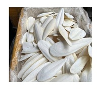 Os de Seiche Naturel : Supplément de Calcium Marin Idéal pour les Besoins Nutritionnels des Perroquets, des Cockatiels, des Tortues et des Bébés Oiseaux