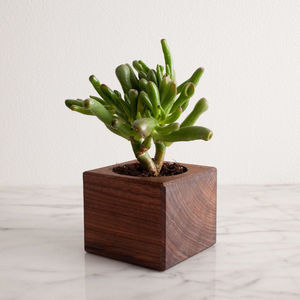 Pot de fleurs carré en bois massif fait main, pot de plantes d'intérieur unique, décoration de bureau, cadeau, pot de plantes d'intérieur fait main au meilleur prix - Product Image 1