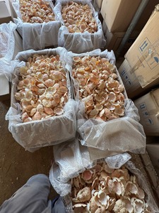 Premium <b>Crab</b> Shell Viet Delta Co. LTD for Commercial Kitchen <b>Crab</b> Paste 2 Year Shelf Life Optimized Packing Large Volume - Product Image 6