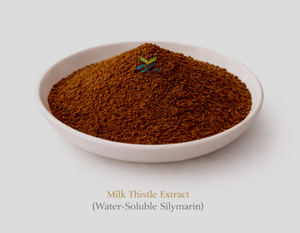 HGO Factory Fourniture directe d'extrait de chardon-Marie naturel pur (qualité alimentaire) Spécification Silymarine soluble dans l'eau 20% - Product Image 1