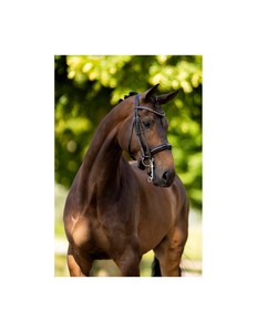 สายหนังม้าบังเหียนม้าหนัง headstall ปรับได้เชือกแขวนคอทนทานขี่ม้า - Product Image 2