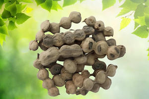 Acacia Nilotica Kikar Phali Babul Fali Babool Phali Kikar Fhali Ajameghya Phali, hierbas secas crudas, venta al por mayor, extracto de plantas - Product Image 3