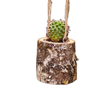 Village Wooden Flowerpot Wishing <b>Well</b> Planter Backyard <b>Garden</b> Decor Creative Wooden Planters Fir Bark Flower Pots <b>Garden</b> - Product Image 1