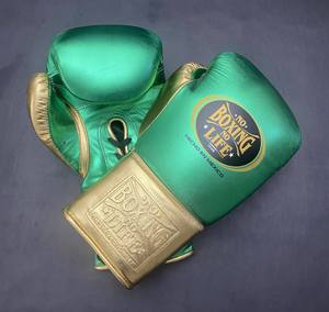 Guantes de Boxeo Profesionales de Alta Calidad a Precio de Mayoreo RTS, No Boxing No Life, Cuero Genuino, Antideslizantes, para Sparring, AS-BG-5052 - Product Image 6