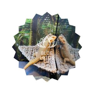 Hamac de qualité supérieure 2026 pour reptiles : idéal pour le repos, l'escalade et le bain de soleil des dragons barbus, geckos et lézards - Product Image 1