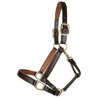 Harnais de polo en cuir d'Argentine, robuste et réglable, en cuir et nylon, durable et adapté à toutes les saisons, équipement équestre, designs personnalisés