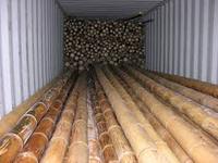 Soporte de plantas de bambú natural de Vietnam Materia prima duradera ecológica de alta calidad para construcción de jardinería y suministro al por mayor