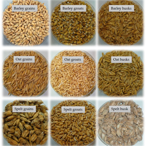 Avena en Grano con Sabor Original del Proveedor Más Vendido OEM ODM - Product Image 1