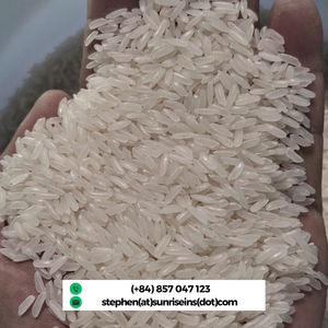 Riz Jasmin à Grains Longs DT8 Pur Qualité Supérieure 5% Brisures du Vietnam - Product Image 4