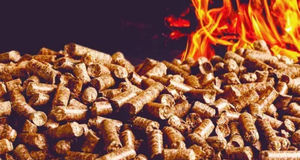 Produit naturel de qualité export pour les centrales électriques à énergie renouvelable, les réseaux de chauffage collectif et la production agricole durable - Product Image 6