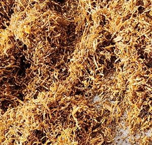 Mezclas de Hierbas para Liar Amber Leaf, American Spirit y Virginia, Suministro a Granel de Fábrica, Hierba Cortada para Palitos de Hierbas con Sabor Natural - Product Image 6