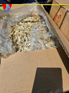 Anchoa seca estándar de exportación: origen vietnamita, embalaje personalizado, envío rápido a todo el mundo/Sra. Lima - Product Image 5
