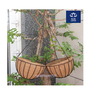 Calidad Confiable, Segura y Ecológica, Maceta de Fibra de Coco, Coco Puro, Artículo Biológico, Ideal para Germinación y Cultivo de Árboles, Precio Directo - Product Image 1