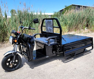 High Quality Gasoline <b>Tricycle</b> Truck Cargo Transportation Water-Cooled Engine Gasoline Motor <b>Tricycle</b> - Product Image 4