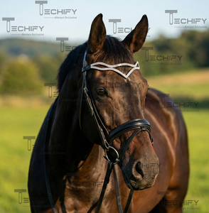 Diadema de Cuero Negro para Caballo con Cristales de Imitación en Forma de V y Diseño de Doble Onda - Product Image 1