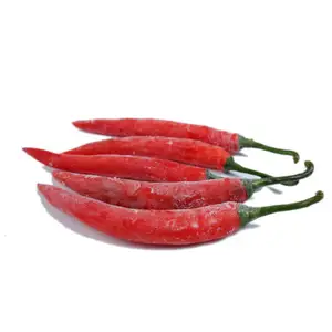 TOP EXPORT congelato peperoncino rosso dal fornitore a prezzo competitivo