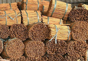 อบเชยแท่งแห้งเวียดเดลต้าขายส่ง อายุการเก็บรักษา 24 เดือน สำหรับส่งออก-มีกลิ่นหอม ใช้สำหรับชา กาแฟ และเครื่องดื่มต่างๆ - Product Image 6