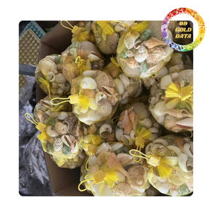 Mélange de coquillages | Vente en gros d'artisanat de style plage et décor d'aquarium | Fournisseur du Viet Nam - Product Image 6