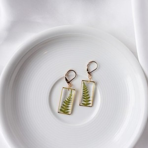 <b>Resin</b> Transparent Fern Leaf <b>Resin</b> Earrings Fern Frame Earrings Pressed Fern <b>Resin</b> Earrings Gold Frame Fern <b>Resin</b> <b>Craft</b> - Product Image 1