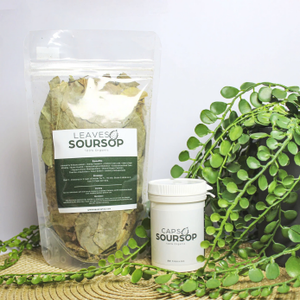 Fermented Dried Soursop Leaves Herbal Tea Loose Leaf Natural Graviola Guanabana Health Tea Premium Quality - Product Image 3