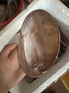 Handcrafted Mother of Pearl Shell <b>Tray</b> for <b>Jewelry</b> & Cosmetics Luxury Sea Shell Decor for Home Handmade Boho Style Decor - Product Image 6