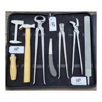 Kit de Herramientas Profesional de Acero Inoxidable de Alta Resistencia Clase II para Herradores de Caballos, Juego Completo para el Cuidado y Mantenimiento de Pezuñas Equinas