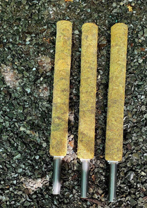 Planta de musgo vietnamita de alta calidad, producto agrícola Premium en Pila de musgo - Product Image 5