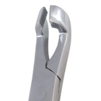 Forceps d'extraction dentaire équine TM STARTECH, molaire supérieure, acier inoxydable, instrument vétérinaire d'extraction de dents de cheval - Product Image 5