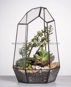 <b>Geometric</b> <b>Terrarium</b> Clear <b>Geometric</b> Plants <b>Terrarium</b> - Product Image 1