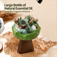 Coffret Cadeau Diffuseur Artistique en Pierre pour Aromathérapie, Huile Parfumée et Fleurs Séchées pour la Décoration Moderne de la Maison, de la Chambre et du Bureau