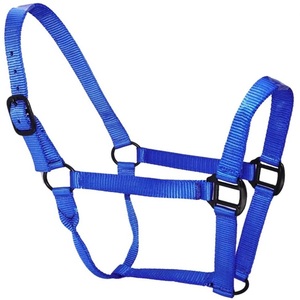 Produits équestres polyvalents et confortables en sangle de nylon double épaisseur, y compris laisses pour chevaux et selles de course, à prix abordable - Product Image 3