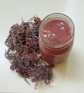 MUSGO MARINO MORADO SOSTENIBLE SECADO AL SOL, LAVADO Y SECADO, PARA GELATINA VEGANA B2B - Product Image 4