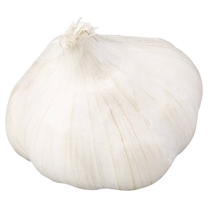 Ajo Fresco Orgánico a Granel, Alta Calidad, Puro y Fresco, Precio con Descuento para Suministro al por Mayor - Product Image 3
