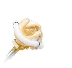 Valve tissulaire manuelle EPIC PLUS SUPRA pour usage hospitalier, certifiée ISO13485, Abbott REF E10021, Classe III CE - Product Image 3