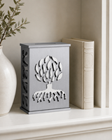 Boîte pliante rectangulaire en acrylique sculpté, personnalisable avec logo, pour collection de pièces de monnaie colorées Judaica juives