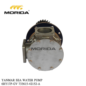 ปั๊มน้ำทะเล733615-42152-A 6RY17P-GV สำหรับ yanmar - Product Image 2