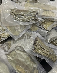 Feuilles de graviola séchées de qualité supérieure, provenant directement des fermes vietnamiennes, séchées au soleil et sans pesticides, idéales pour les infusions aux herbes. - Product Image 3