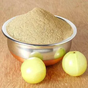 Polvo de Amla 100% Auténtico de Calidad Premium, Natural y Puro, Grado Alimenticio, a Granel, Exportación de la India a Precio Mayorista - Product Image 5