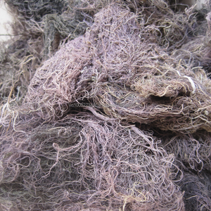 Algues marines KMI Natural GRACILARIA du Vietnam – Matière première de qualité supérieure pour la production d'agar - Product Image 1