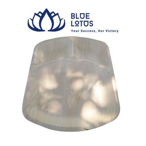 Assiettes jetables biodégradables en feuilles de palmier de 10 pouces, lot de 50, pour camping et barbecue en extérieur, durables et disponibles en gros - Product Image 1