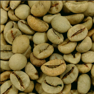 เมล็ดกาแฟอาราบิก้าออร์แกนิกคุณภาพสูง ขนาด 16 สำหรับขายส่งจำนวนมาก ผู้ซื้อระหว่างประเทศ ได้รับการรับรองมาตรฐาน USDA และ ISO  ขั้นต่ำในการสั่งซื้อ (MOQ) - Product Image 5