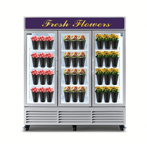 Glass Door Refrigerator 300L Stainless Steel Upright Cooler with LED Lighting - Product Image 1